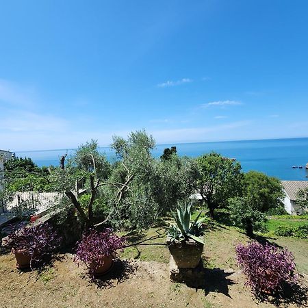 Apartment Ulcinj Exteriör bild