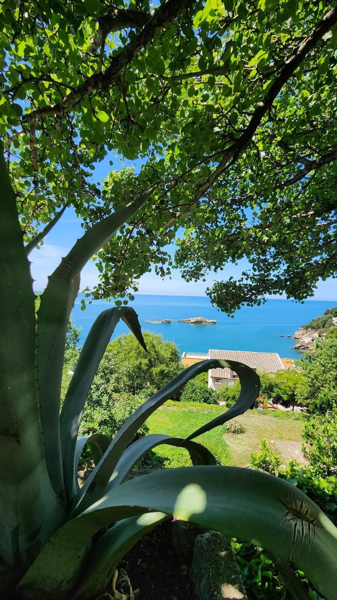 Apartment Ulcinj Exteriör bild