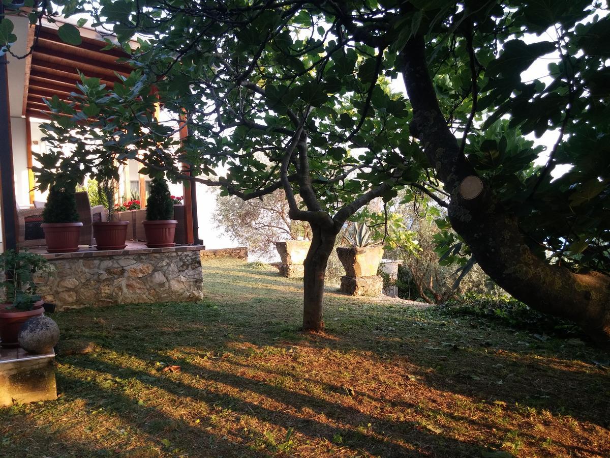 Apartment Ulcinj Exteriör bild